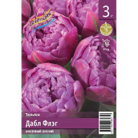 Тюльпан Дабл Флэг 11/12 3 шт