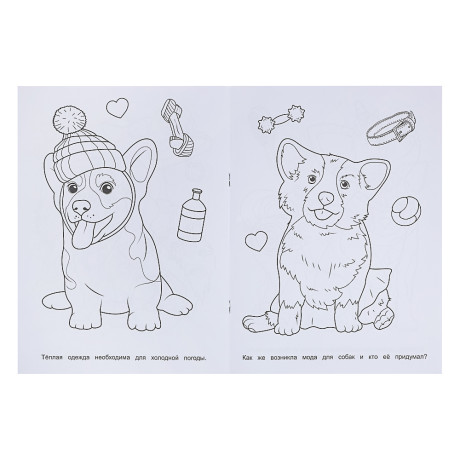 Раскраска 21,4х29 см, бумага, 16 стр., 5 дизайнов