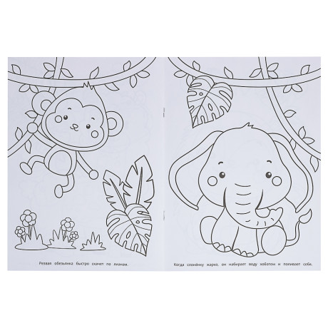 Раскраска 21,4х29 см, бумага, 16 стр., 5 дизайнов