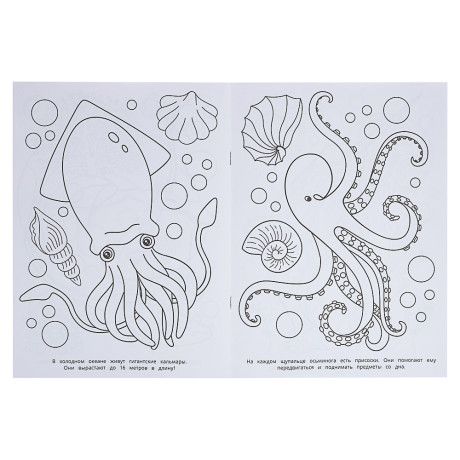 Раскраска 21,4х29 см, бумага, 16 стр., 5 дизайнов
