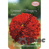 К Циния Мишутка алая Каприс