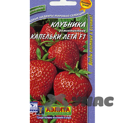 Земляника Капелька лета ремонт  Аэлита Ц