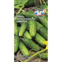 Огурец Микрон Седек Ц