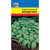 Базилик Мятный бриз Урожай у дачи Ц