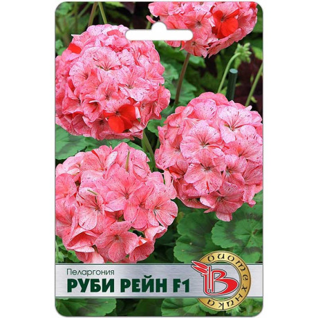 КОМ Пеларгония Руби Рейн Биотехника Ц