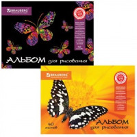 Альбом д/рисования, 40 л., BRAUBERG, обл. карт. 110 г/м2, &quot;Летняя феерия&quot;, 2 вида, 103434