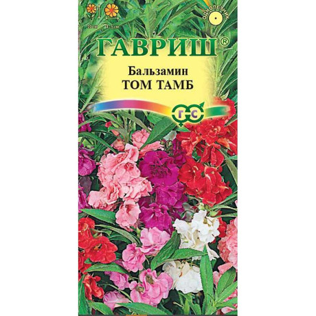 Бальзамин карлик. Том Тамб Гавриш Ц