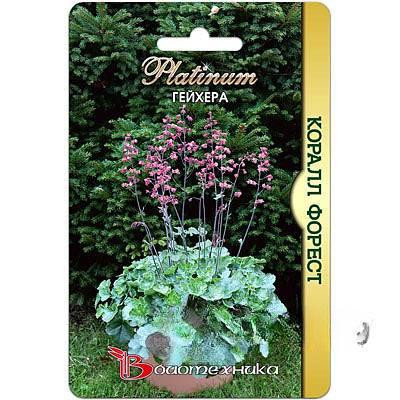 Гейхера Коралл Форест Биотехника Ц