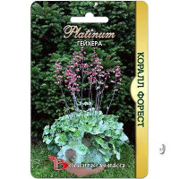 Гейхера Коралл Форест Биотехника Ц