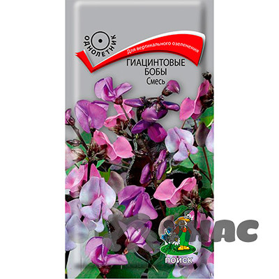 Гиацинтовые бобы Смесь Поиск Ц