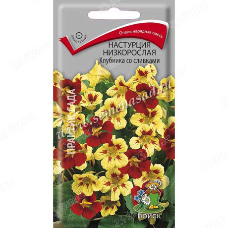 Настурция Клубника со сливками низк. Поиск Ц