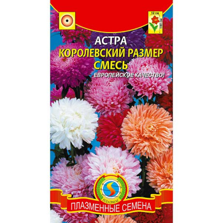 Астра Королевский размер смесь Плазма Ц