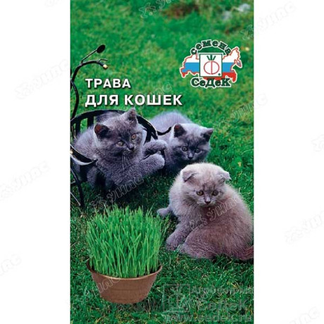 Трава д/кошек Седек Ц