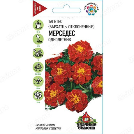 Бархатцы Мерседес Удач сем Гавриш Ц