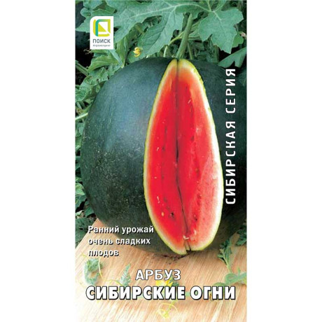 Арбуз Сибирские огни Поиск Ц