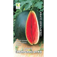 Арбуз Сибирские огни Поиск Ц