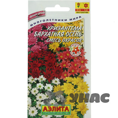 Хризантема Бархатная осень корейск.смесь Аэлита Ц