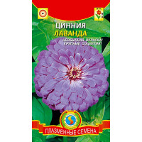 Циния Лаванда Плазма Ц