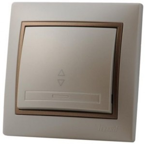 Lezard Мира выкл. СУ 1 кл. 10А (проходн.) перламутр с коричн. вставкой (корпус PC) 701-3031-105