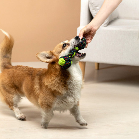 VETTA Игрушка для домашних животных, ПЭ, хлопок, 23 см