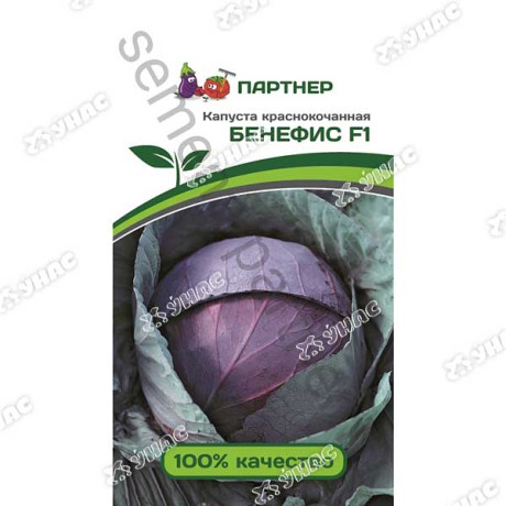 Капуста к/к Бенефис Партнер Ц