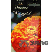 К Циния Мишутка оранжевая Каприс