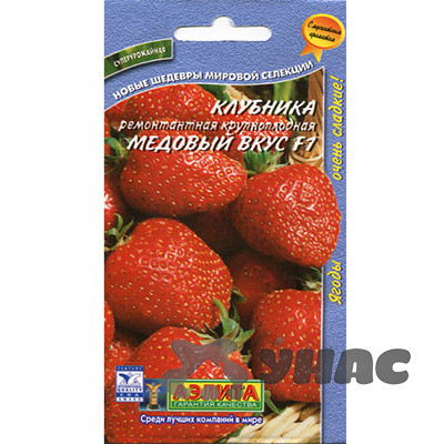 Земляника Медовый вкус ремонт  Аэлита Ц
