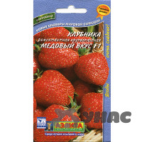 Земляника Медовый вкус ремонт  Аэлита Ц