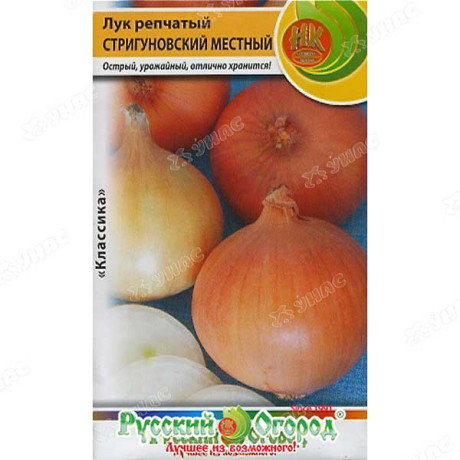 Лук Стригуновский НК Ц