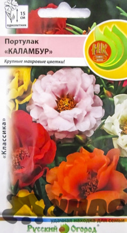 Портулак Каламбур смесь НК Ц