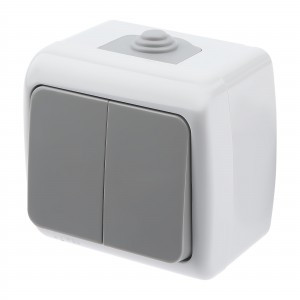 ЭРА Intro Atlantic выкл. ОУ 2 кл. серый 10А (корп. PC) IP54 5-104-03 9519