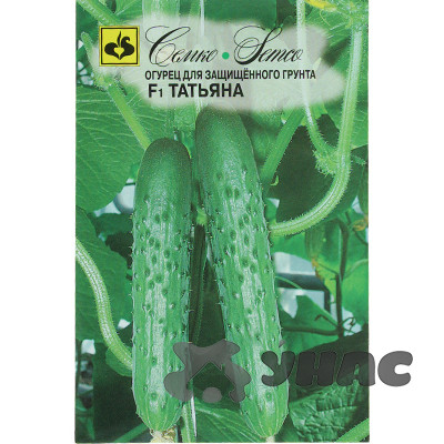Огурец Татьяна Семко Ц