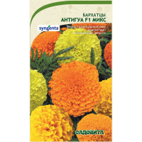 Бархатцы Антигуа F1 Микс 5шт Syngenta/Садовита Ц