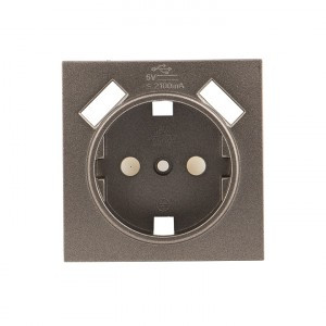 EKF Валенсия лиц. панель роз. 1 мест. с/з 16А графит шторки с 2 USB 2,1А Al/Cu (корпус PC) ESR16-L-0