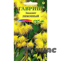 КОМ Эвкалипт лимонный Флагман Гавриш Ц