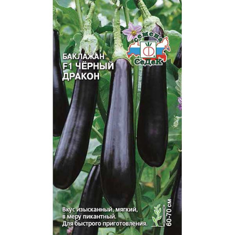 Баклажан Черный Дракон Седек Ц