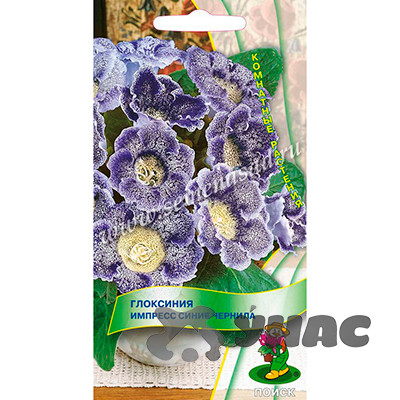 КОМ Глоксиния Импресс Синие чернила Поиск Ц