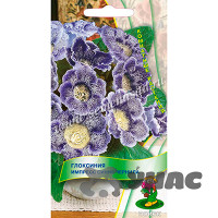 КОМ Глоксиния Импресс Синие чернила Поиск Ц