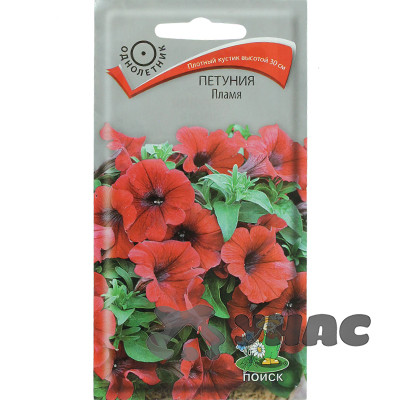 Петуния Пламя Поиск Ц