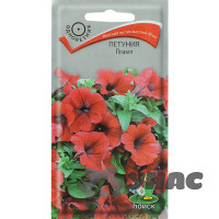 Петуния Пламя Поиск Ц