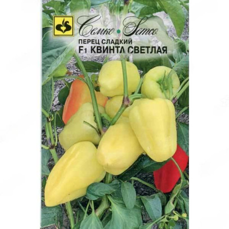 Семена Перец Квинта светлая Семко F1