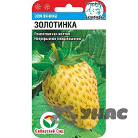 Земляника Золотинка СибСад Ц