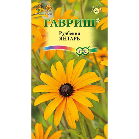 Рудбекия Янтарь Гавриш Ц