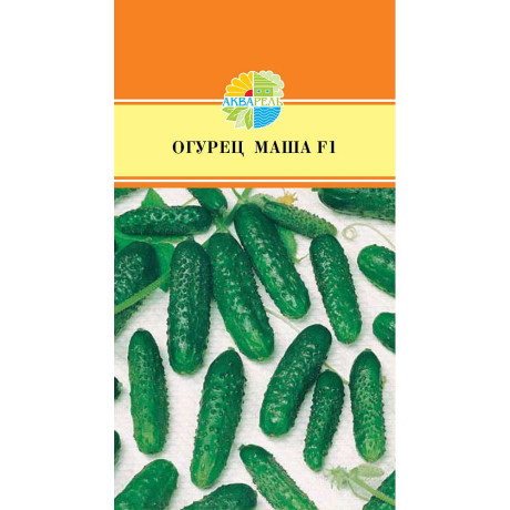 Огурец Маша Маринда/Акварель