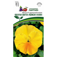 Виола Белла Вита Лемон Куин Партнер