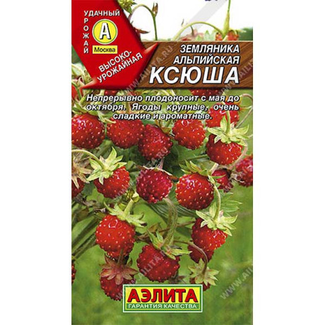 Земляника Ксюша Аэлита Ц