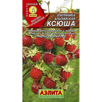 Земляника Ксюша Аэлита Ц