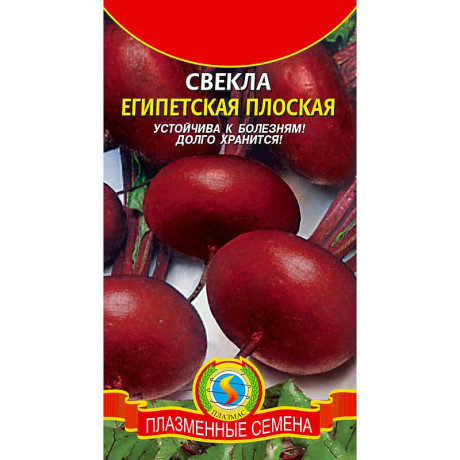 Свекла Египетская плоская Плазма Ц