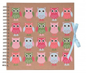 Innova Фотоальбом (Ф/а) Q1607126 на пружине 25л. 25*25 "Скрапбукинг - Совы", под уголки 1266