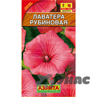 Лаватера Рубиновая Аэлита Ц